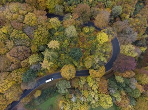 Aerial view of a serpentine in the Teutoburg Forest in autumn