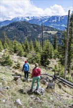 Hiker in the Bavarian Pre-Alps