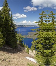 Blue water in a forest lake with pine trees