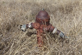 Old hydrant for fire-fighting water in dried grass