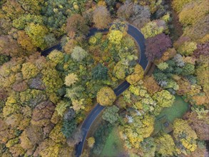 Aerial view of a serpentine in the Teutoburg Forest in autumn