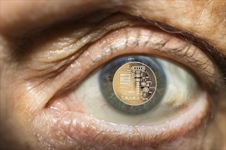 Back of a Bitcoin in an iris
