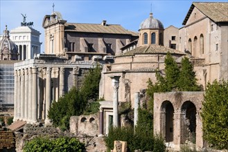 Left Temple of Faustina and Pius