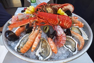 Large seafood platter