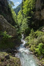 Mountain stream flowing through a narrow gorge
