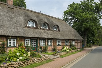 Thatched half-timbered house and summer garden