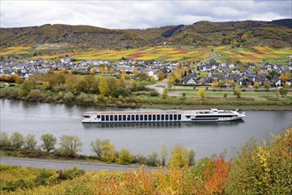 River cruise ship passes the wine village of Bruttig-Fankel