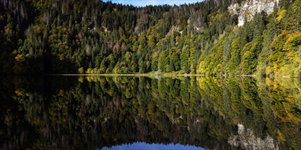 Reflection of the water surface at Feldsee