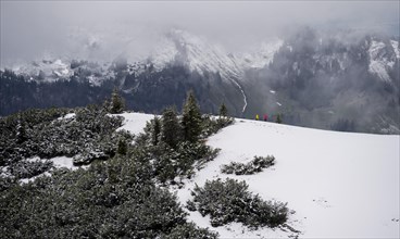 Two hikers on a snow-covered grade