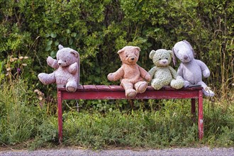 Four different coloured stuffed animals