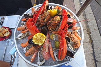 Large seafood platter