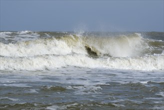Waves on the North Sea coast