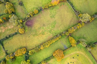 Top Down view of Autumn Colors over Somerset fields from a drone