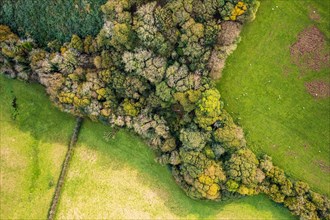 Top Down view of Autumn Colors over Devon fields from a drone