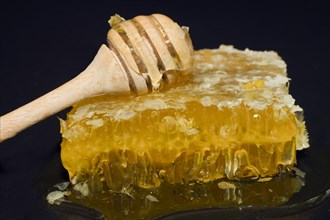 Fresh honeycomb with blossom honey and wooden honey spoon