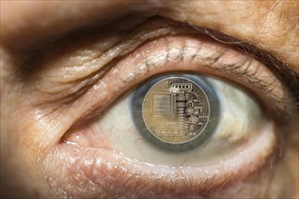 Back of a Bitcoin in an iris
