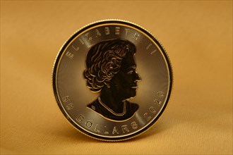 Physical Gold Coin 1 oz Gold Maple Leaf Obverse Queen Elizabeth II