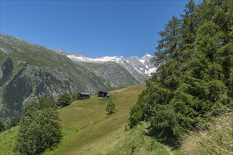 Landscape panorama with the Wannenhorn group in the background