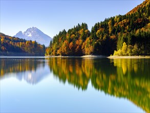 Watzmann and autumn forest reflected in the lake