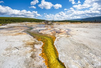 Yellow bacteria and algae in a hot spring at Black Sand Basin and Biscuit Basin