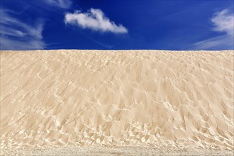 Punta Paloma dune