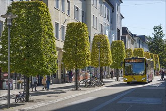 Avenue of deciduous trees with city bus in Bahnhofstrasse