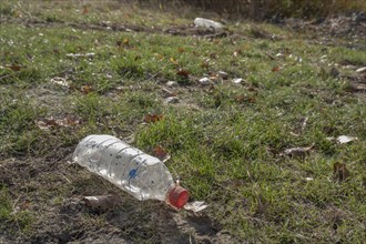 Discarded plastic bottles in a meadow in the shore zone