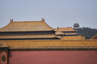 Roofs of the Forbidden City