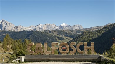 Calfosch