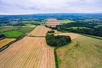 Fields and Meadows over Torbay