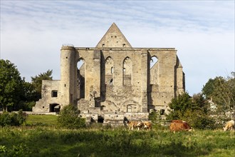 Pirita Monastery Ruins