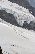 Hikers on the Aletsch Glacier from the Jungfraujoch