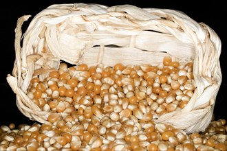 Corn kernels for popcorn in a raffia basket