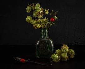 Still Life with Hop Cone and Rose Hips