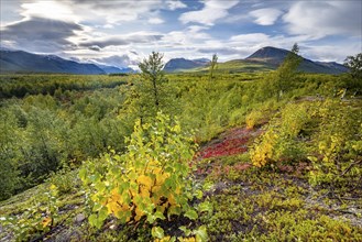 Autumnal fell landscape