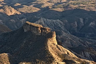 Tabernas Desert