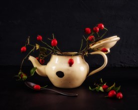 Still Life with Old Teapot and Rose Hips