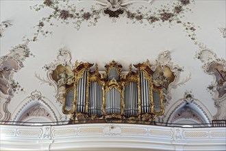 The organ of St