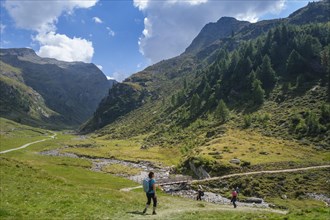 Faltschnaltal at the Panorama Trail