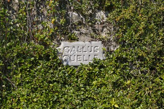 Stone tablet at the Gallus spring