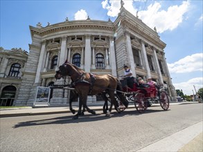 Fiaker in front of the Burgtheater