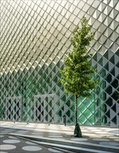 Small tree in front of the glass facade of the Futurium Museum on Kapelle Ufer