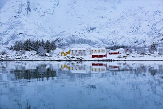 Isolated houses in Trollfjord