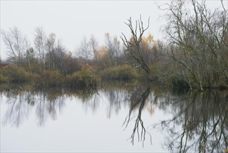 Moorland in autumn
