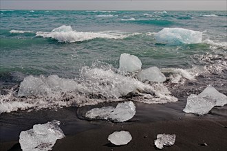 Pieces of ice floating in the sea and lying on a dark sandy beach