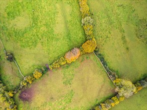 Top Down view of Autumn Colors over Somerset fields from a drone