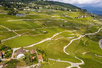 Aerial of the Unesco site Lavaux vineyard terraces