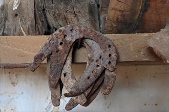 Rusty horseshoes