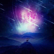 Majestic deer with long horns as tree branches stand on the peak of a rocky valley below a wonderful night sky with falling stars and sparkles