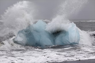 Blue iceberg in the surf